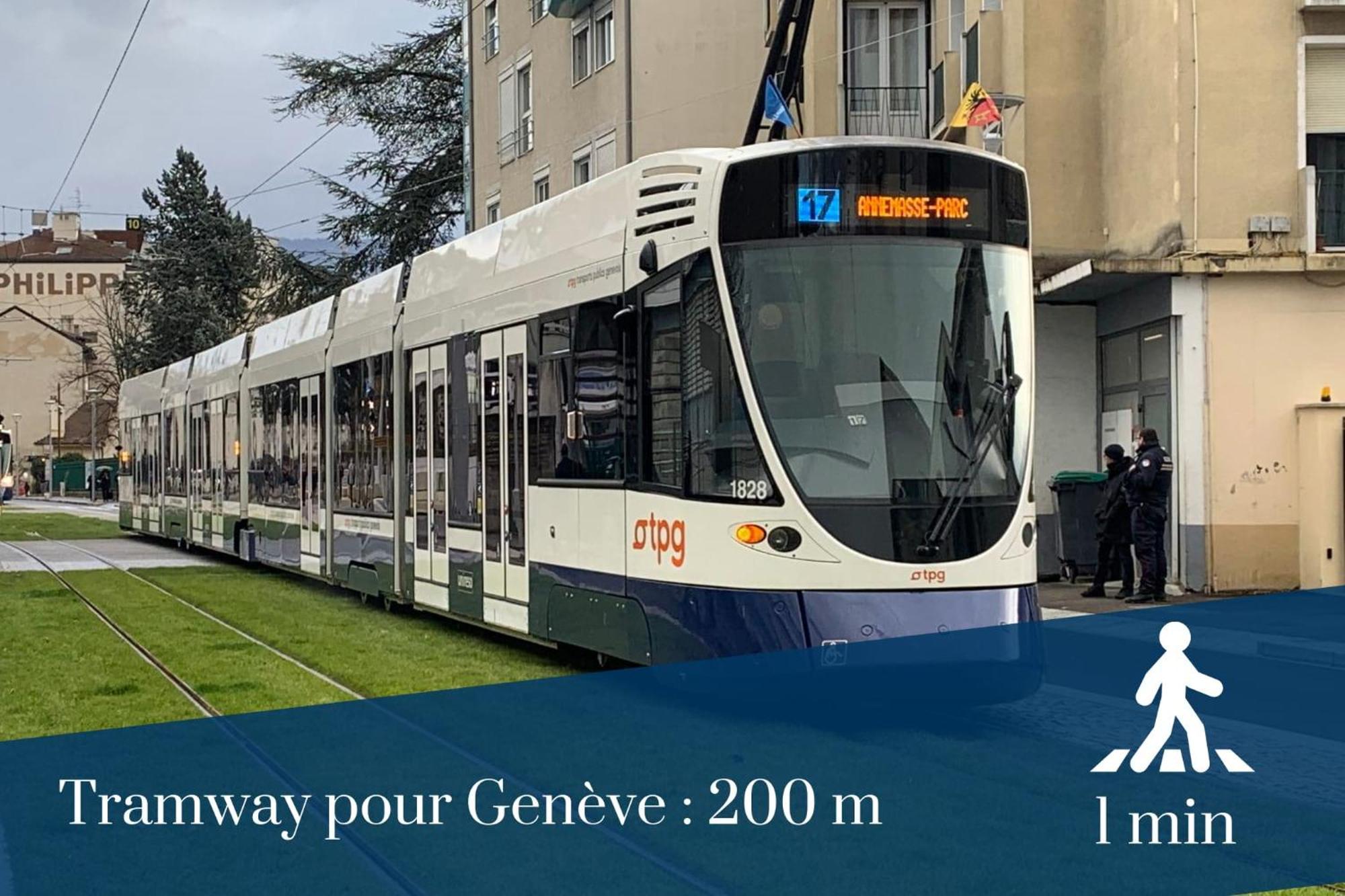 Homey Wild - Proche Gare Et Tram - Proche Centre - Balcon Prive - Parking Prive - Wifi Gratuit Annemasse Kültér fotó
